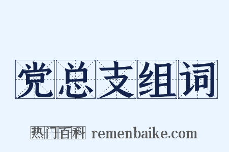 党总支组词是什么意思的图片